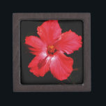Hot-roze rode hibiscus-bloem op zwart premium decoratiedoosje<br><div class="desc">Mooie foto van een hotroze rode hibiscus-bloem op zwart door kunstenaar Sandra Marie Closs. Voeg je eigen tekst, naam of monogram toe aan creëer het perfecte product voor elke keer. Wedden, feestfeest, sympathie, verjaardag, baby shower, een feest of gewoon om je dag wat mooier te maken. bloem, bloem, bloemen, kleurrijke...</div>