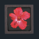 Hot-roze rode hibiscus-bloem op zwart premium decoratiedoosje<br><div class="desc">Mooie foto van een hotroze rode hibiscus-bloem op zwart door kunstenaar Sandra Marie Closs. Voeg je eigen tekst, naam of monogram toe aan creëer het perfecte product voor elke keer. Wedden, feestfeest, sympathie, verjaardag, baby shower, een feest of gewoon om je dag wat mooier te maken. bloem, bloem, bloemen, kleurrijke...</div>