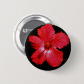 Hot-roze rode hibiscus-bloem op zwart ronde button 5,7 cm (Voorkant /achterkant)