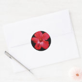 Hot-roze rode hibiscus-bloem op zwart ronde sticker (Envelop)