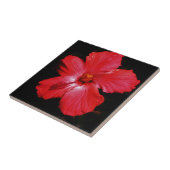 Hot-roze rode hibiscus-bloem op zwart tegeltje (Zijkant)