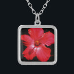 Hot-roze rode hibiscus-bloem op zwart zilver vergulden ketting<br><div class="desc">Mooie foto van een hotroze rode hibiscus-bloem op zwart door kunstenaar Sandra Marie Closs. Voeg je eigen tekst, naam of monogram toe aan creëer het perfecte product voor elke keer. Wedden, feestfeest, sympathie, verjaardag, baby shower, een feest of gewoon om je dag wat mooier te maken. bloem, bloem, bloemen, kleurrijke...</div>
