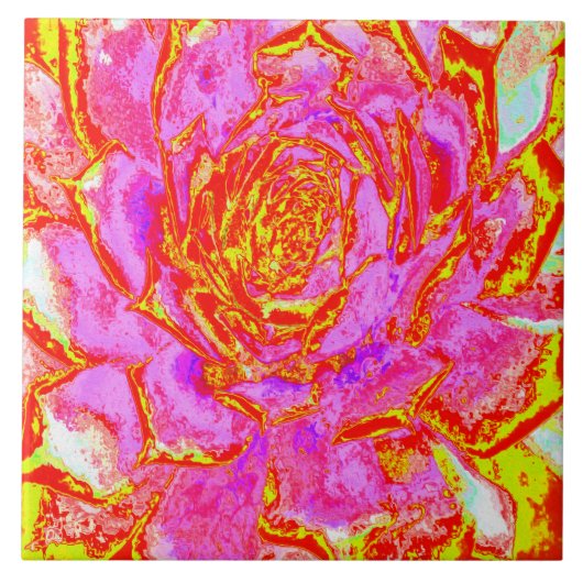 Hot-roze, rood en geel sedum rosette tegeltje (Voorkant)