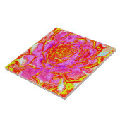 Hot-roze, rood en geel sedum rosette tegeltje (Zijkant)