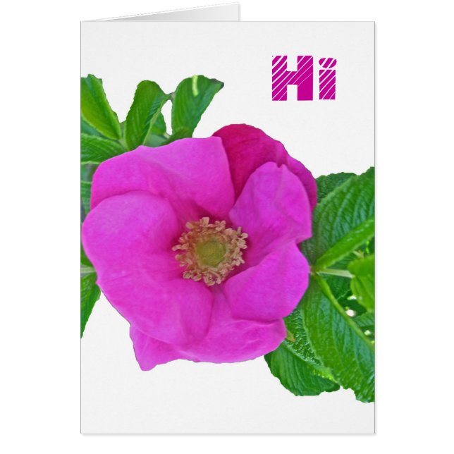 Hot-Roze Roos Coördinatie items (Voorkant)