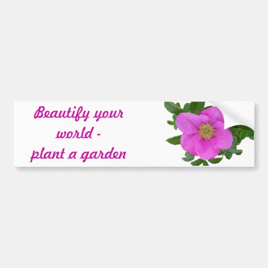 Hot-Roze Roos Coördinatie items Bumpersticker (Voorkant)