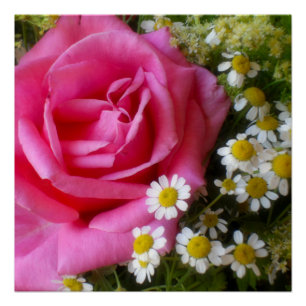 Hot-roze Roos en White Daisies Foto Perfect Poster