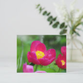 Hot-roze Roos Feestdagenkaart (Staand voorkant)