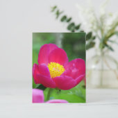 Hot-roze Roos Feestdagenkaart (Staand voorkant)