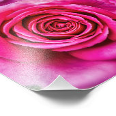 Hot-roze Roos Foto Afdruk (Hoek)