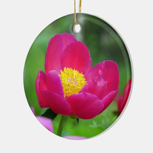 Hot-roze Roos Keramisch Ornament (Links)