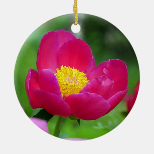 Hot-roze Roos Keramisch Ornament (Achterkant)