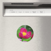 Hot-roze Roos Magneet (Insitu (Vaatwasser))