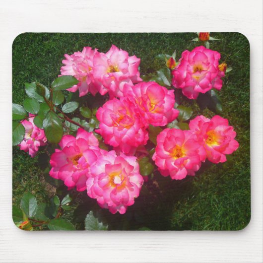 Hot-roze Roos Mousepad Muismat (Voorkant)