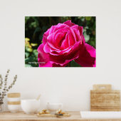 Hot-roze Roos Poster (Keuken)