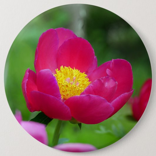 Hot-roze Roos Ronde Button 6,0 Cm (Voorkant)