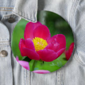 Hot-roze Roos Ronde Button 6,0 Cm (In situ)