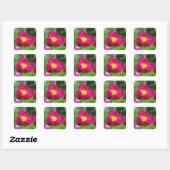 Hot-roze Roos Vierkante Sticker (Vel)