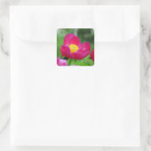 Hot-roze Roos Vierkante Sticker (Tas)