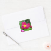 Hot-roze Roos Vierkante Sticker (Envelop)