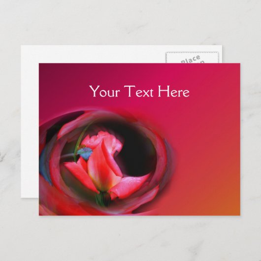 Hot-roze Rosebud Abstracte ventilator Briefkaart (Voorkant / Achterkant)