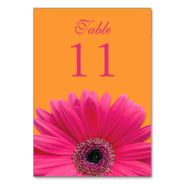 Hot Roze Sinaasappel Gerbera Daisy Wedding Kaart