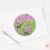 Hot-roze Succulent Sedum met Fleshy Green Leaves Ronde Sticker (Envelop)