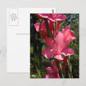 Hot-roze ventilator Briefkaart (Voorkant / Achterkant)