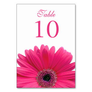 Hot Roze Witte Gerbera Daisy Wedding Kaart
