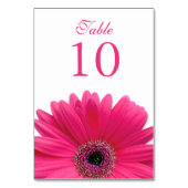 Hot Roze Witte Gerbera Daisy Wedding Kaart (Voorkant)