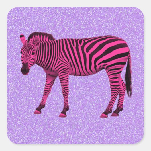Hot-roze Zebra op Paarse spaarkassen Vierkante Sticker (Voorkant)