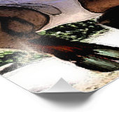 Hot satyr in brieffoto's afdrukken foto afdruk (Hoek)