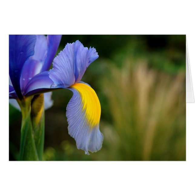 Hot Spot (Voorkant Horizontaal)