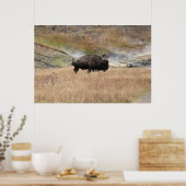 Hot Spring Bison Poster (Keuken)