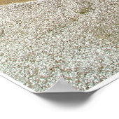 Hot Spring Poster (Hoek)