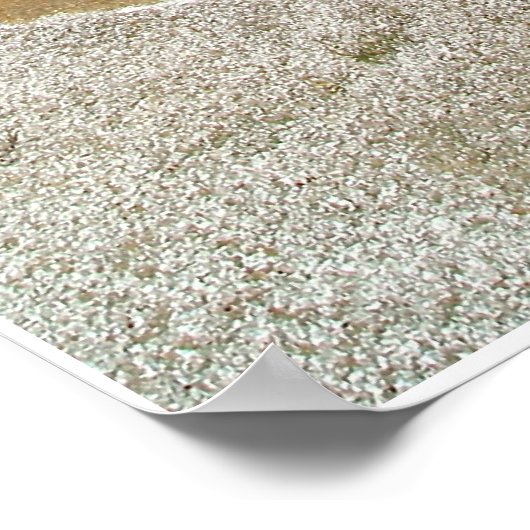 Hot Spring Poster (Hoek)