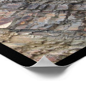 Hot-Springs-, AR-Rock-lagen, centraal afdrukken Poster (Hoek)