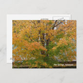 Hot-Springs- en AR-herfst Briefkaart (Voorkant / Achterkant)