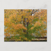 Hot-Springs- en AR-herfst Briefkaart (Voorkant)