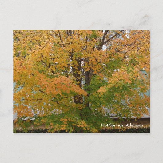 Hot-Springs- en AR-herfst Briefkaart (Voorkant)