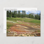 Hot Springs in Tuolumne Meadows, Yosemite, CA Post Briefkaart (Voorkant / Achterkant)