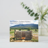 Hot Springs in Tuolumne Meadows, Yosemite, CA Post Briefkaart (Staand voorkant)