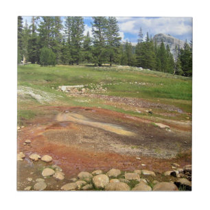 Hot Springs in Tuolumne Meadows, Yosemite, CA Tegeltje