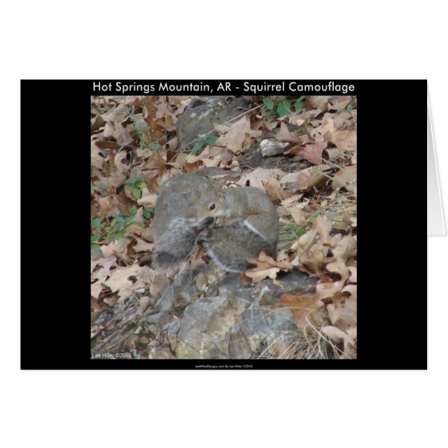 Hot Springs Mountain, AR Squirrel Camouflage Gifts (Voorkant Horizontaal)