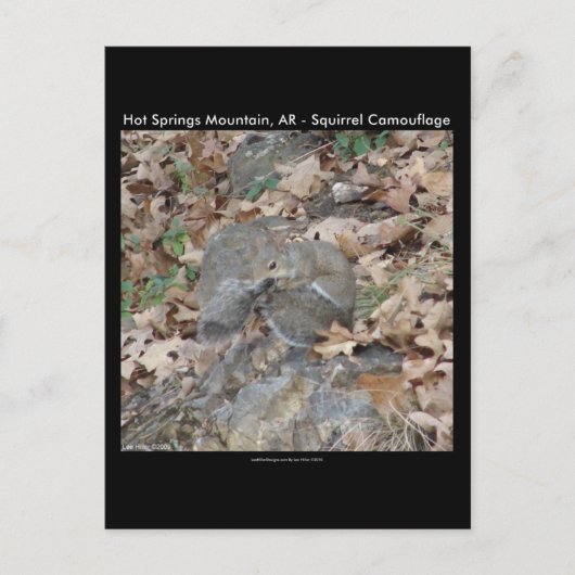 Hot Springs Mountain, AR Squirrel Camouflage Gifts Briefkaart (Voorkant)