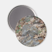 Hot Springs Mountain, AR Squirrel Camouflage Gifts Magneet (Voorkant / Achterkant)