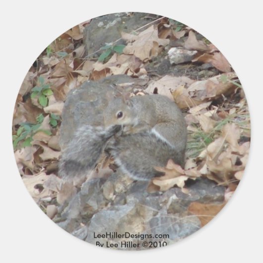 Hot Springs Mountain, AR Squirrel Camouflage Gifts Ronde Sticker (Voorkant)
