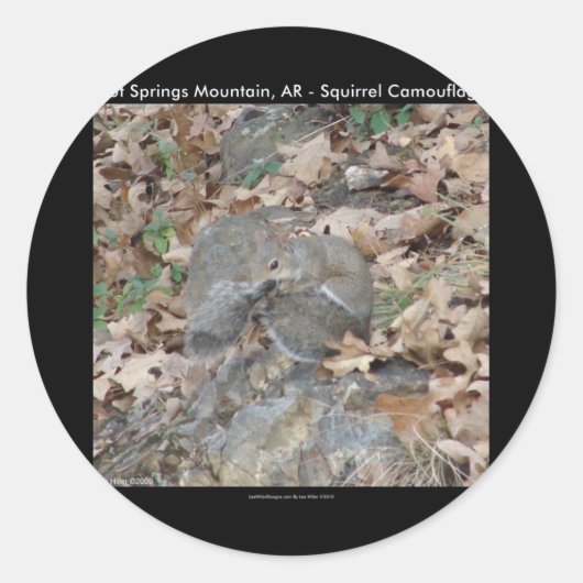 Hot Springs Mountain, AR Squirrel Camouflage Gifts Ronde Sticker (Voorkant)
