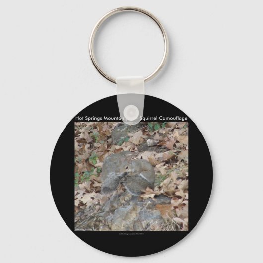 Hot Springs Mountain, AR Squirrel Camouflage Gifts Sleutelhanger (Voorkant)