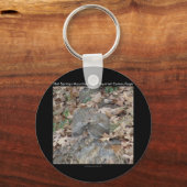 Hot Springs Mountain, AR Squirrel Camouflage Gifts Sleutelhanger (Voorkant)